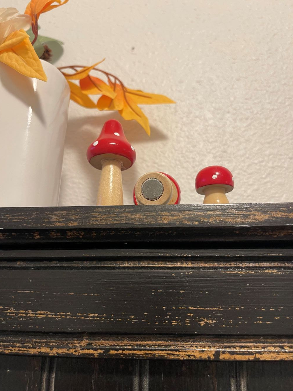 Mushrooms with Magnet