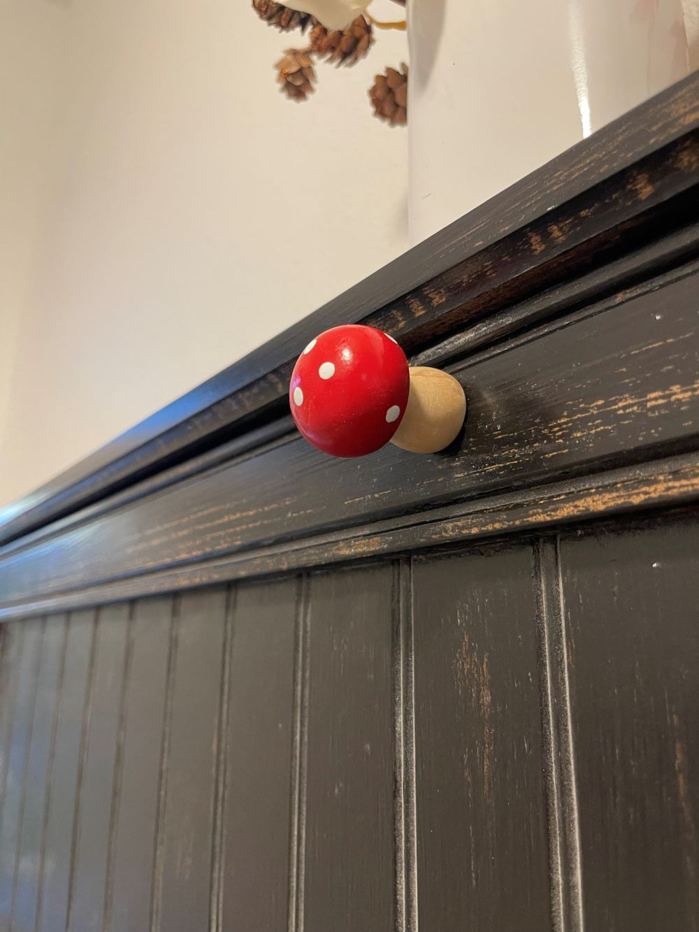 Mushrooms with Magnet