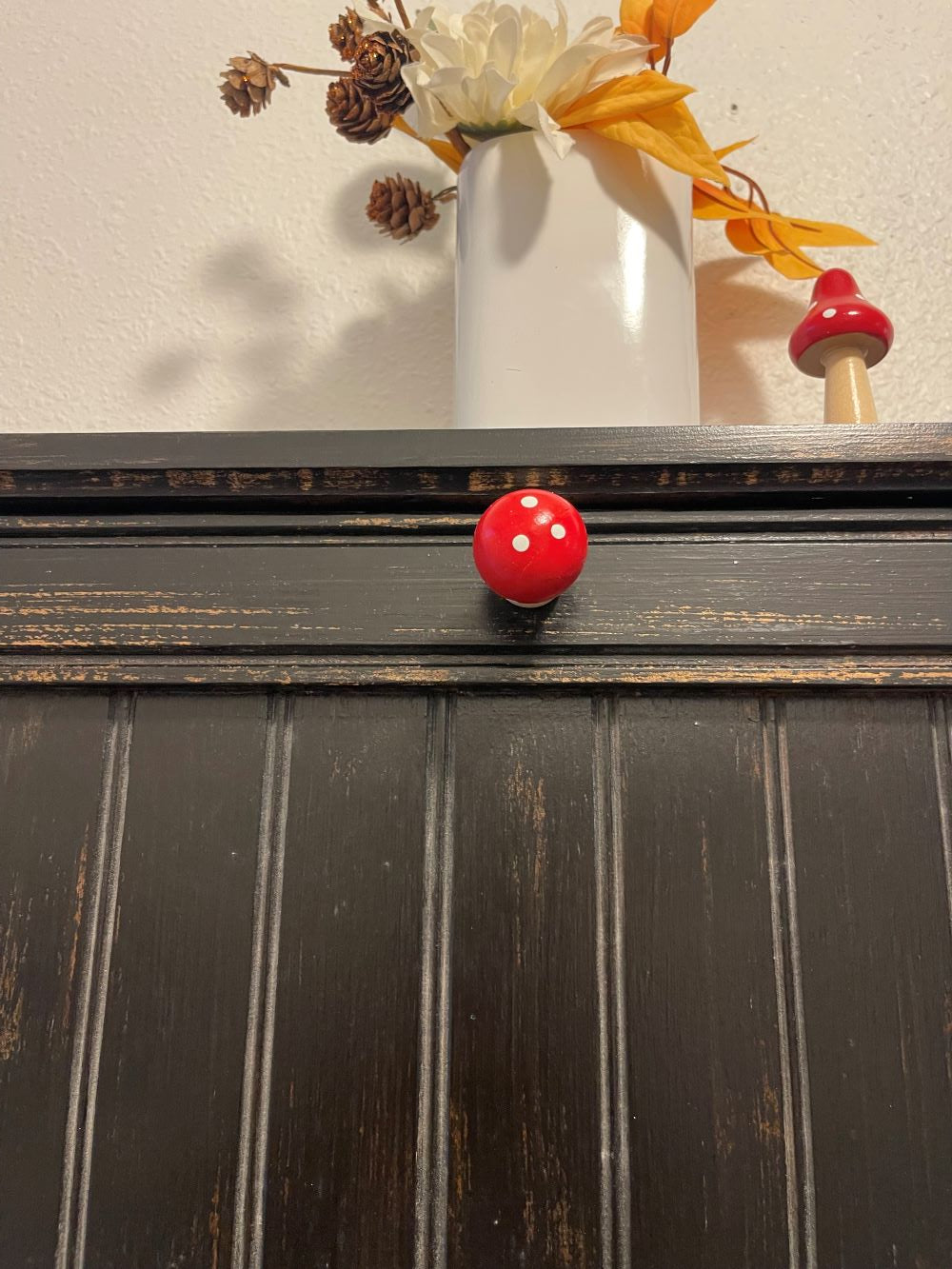 Mushrooms with Magnet