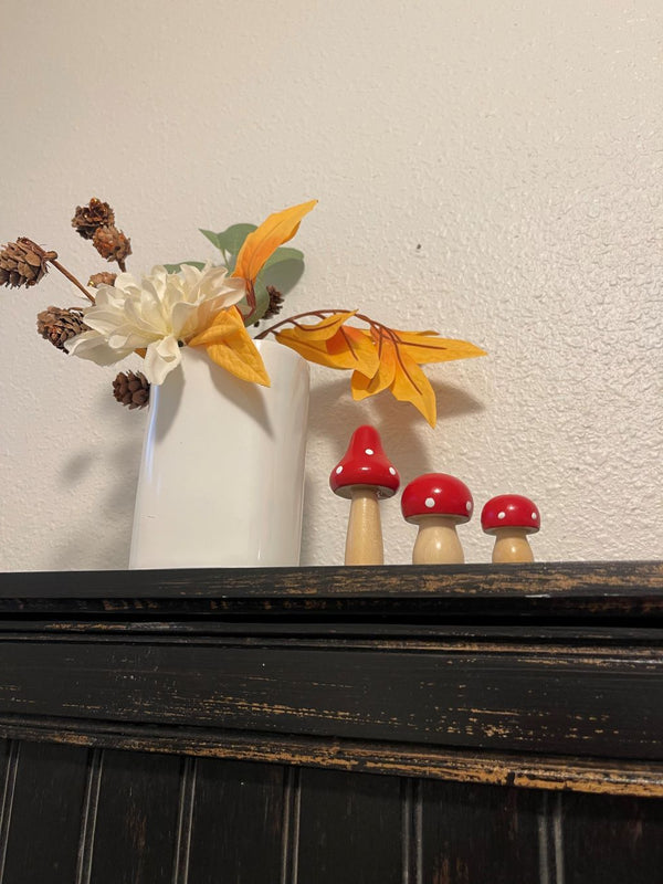 Mushrooms with Magnet