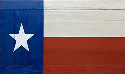 Large Flag Biometric Flip Up – 13 Designs